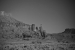 Fisher Towers, Utah - United States of America